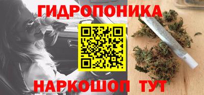 apvp Коммунар