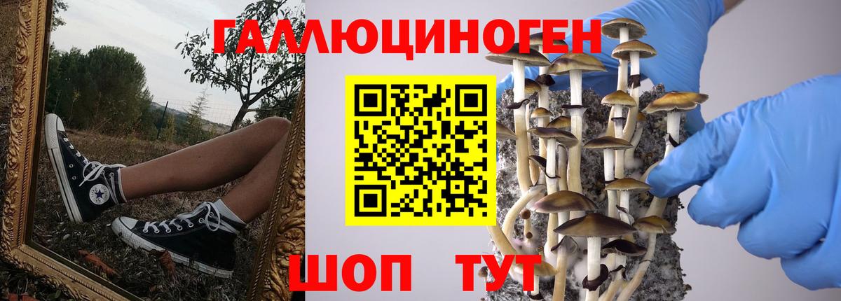 Галлюциногенные грибы Magic Shrooms Костомукша
