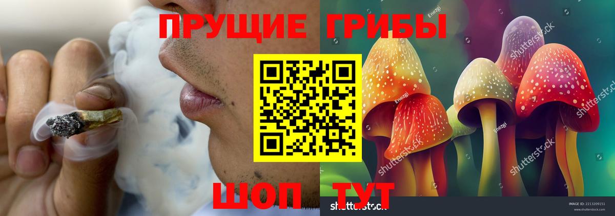 Галлюциногенные грибы прущие грибы  Псилоцибиновые грибы MAGIC MUSHROOMS  Вход с VPN  Костомукша 